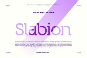 Slabion – Rounded Slab Serif