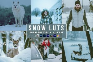 Snow – Winter Presets And luts Videos Premiere Pro
