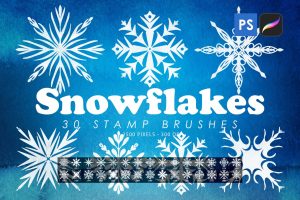 Snowflakes Stamp Brushes