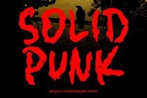 Solid Punk