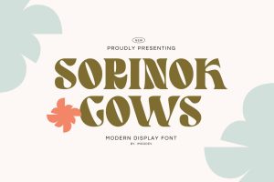 Sorinok Gows – Feminine Font