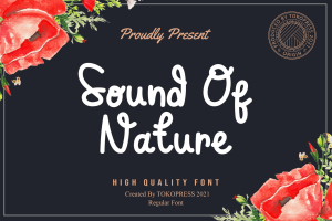 Sound of Nature – Cute Fancy font