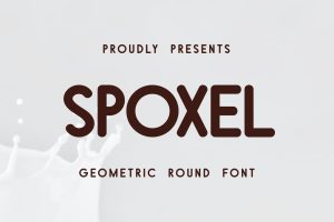 Spoxel