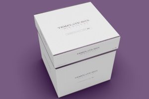 Square Box Packaging Mockup