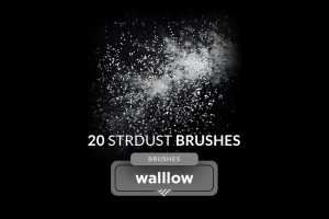Stardust glitter magical celestial dust Brushes