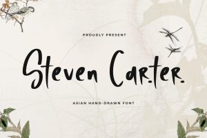 Steven Carter – Asian Hand Drawn Font