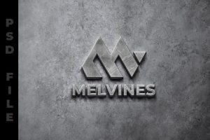 Stone 3D Logo Mockup