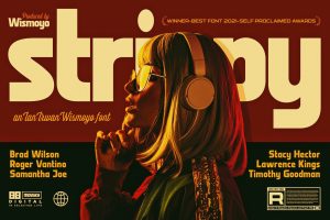 Strippy – Bold Futuristic Fonts