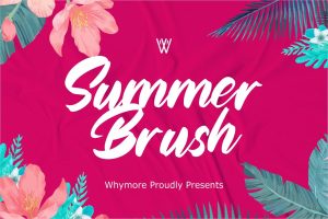 Summer Brush Script Fonts for Stunning Design