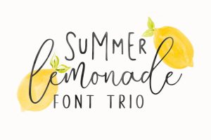 Summer Lemonade + Extras