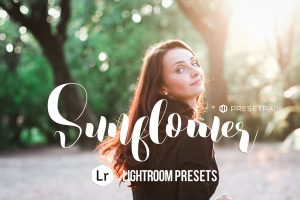 Sunflower Lightroom Presets