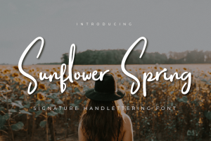 Sunflower Spring