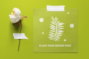Taped Paper Mockup