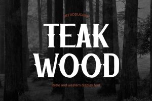 Teak Wood – Rustic Retro Font Vibes