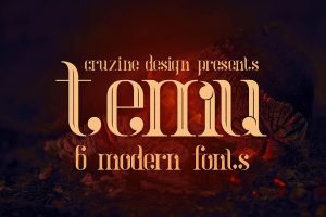 temu – Modern Font