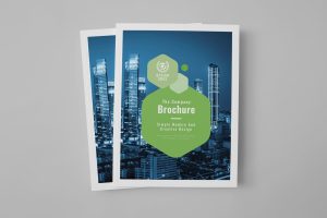 The Brochure