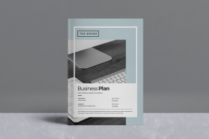 The Business Plan