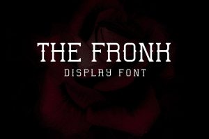 The Fronk – Display font