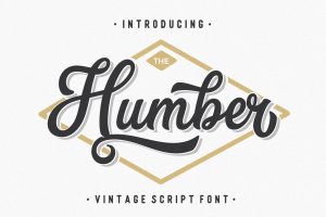 The Humber – Vintage Bold Script Font