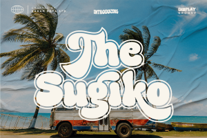 The Sugiko – Retro Groovy Font