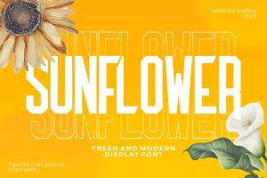 The Sunflower – Fresh & Modern Display Font