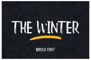 The Winter Brush