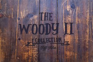 The Woody II – 101 wood texture collection