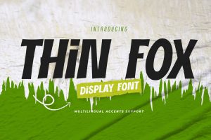 THIN FOX – Display Font