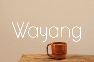 Thin Simple Sans Serif Font