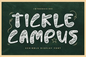 Tickle Campus Scribble Display Font