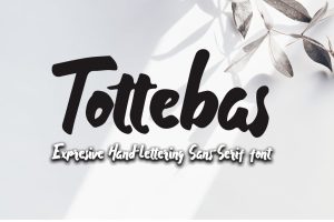 Tottebas – Hand Lettering Font