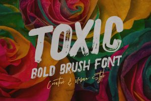 Toxic – Brush & Grunge Font