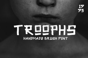 Troophs – Brush Fonts
