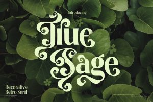True Sage – Modern Vintage Victorian font