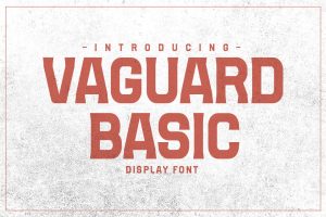 VAGUARD BASIC