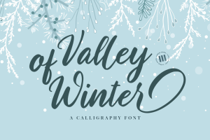 Valley of winter