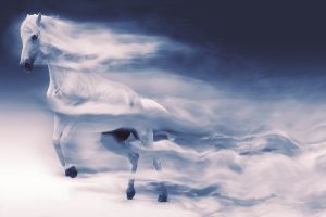 Vanquish Photoshop Action