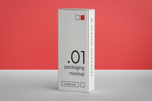 Vertical Packaging Box Mockup