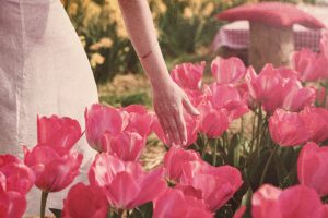 Vintage Old Photoshop Action