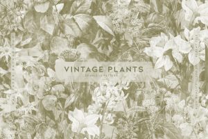 Vintage Plants