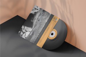 Vinyl Record Mockup