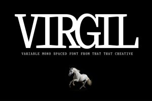 Virgil Monospaced Font