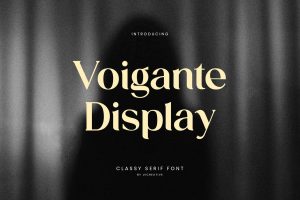 Voigante Display Classic Serif Font