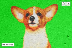 Wall Paint Effect