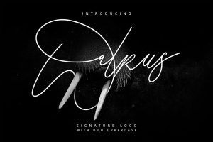 Walrus Signature Font