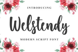 Welstendy – Modern Calligraphy Font