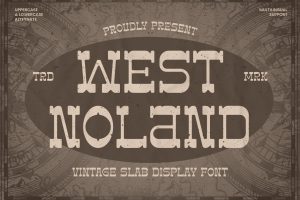 West Noland – Vintage Slab Font