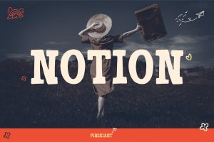 Whimsical Fun Font – Notion