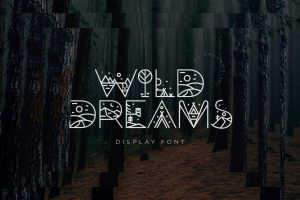 Wild Dreams Display Font