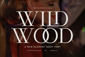 Wild Wood Minimal Serif Font Typeface